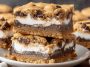 S'mores Cookie Bars