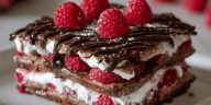 Raspberry Chocolate Lasagna