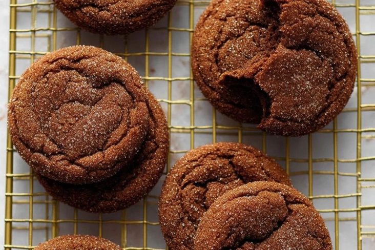 Chocolate Snickerdoodles