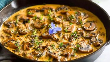 Garlic Mushroom Stroganoff