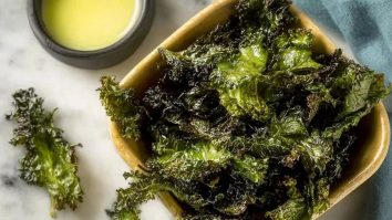 Best Salt and Vinegar Kale Chips