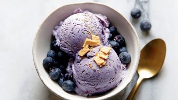 Creamiest Ninja Creami Blueberry Cheesecake Protein Ice Cream Ever