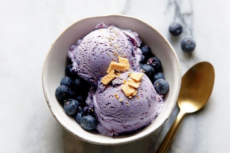 Creamiest Ninja Creami Blueberry Cheesecake Protein Ice Cream Ever