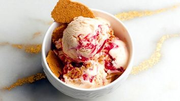 Ninja Creami Strawberry Cheesecake Protein Ice Cream